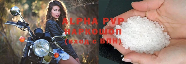 прущие грибы Горно-Алтайск
