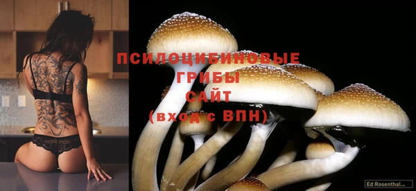 прущая мука Горняк
