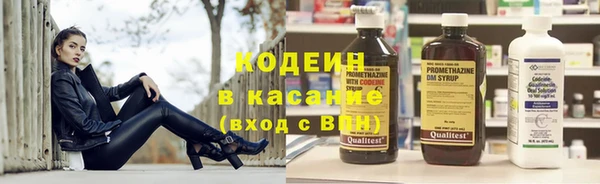 прущие грибы Горно-Алтайск
