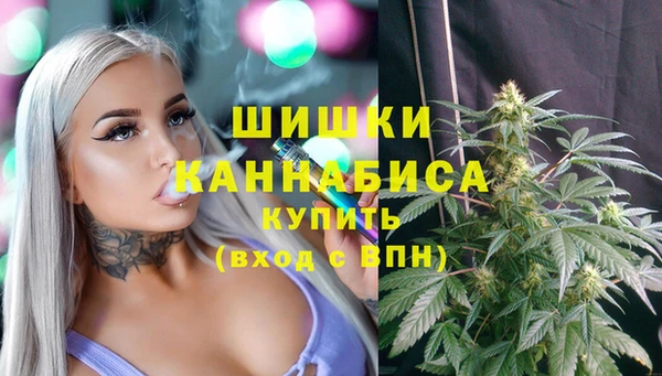 СК Горнозаводск