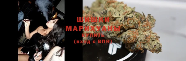 прущая мука Горняк