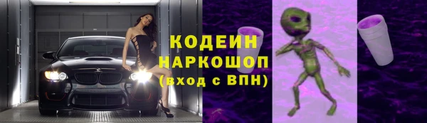 СК Горнозаводск