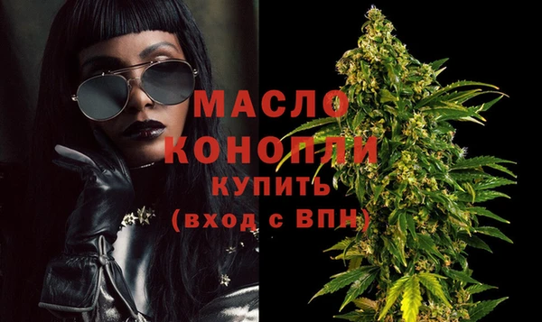 прущие грибы Горно-Алтайск