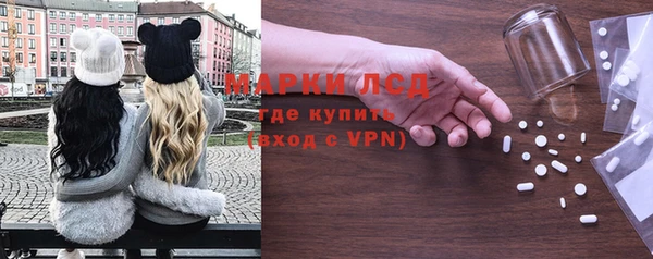 прущие грибы Горно-Алтайск