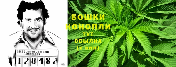 прущая мука Горняк