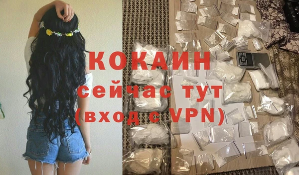 прущие грибы Горно-Алтайск
