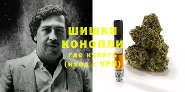 прущие грибы Горно-Алтайск