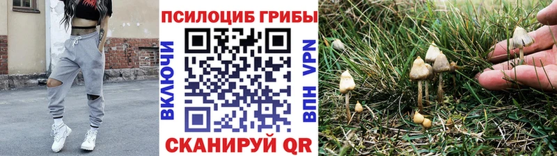 Купить закладки  Кизилюрт  Псилоцибиновые грибы мухоморы 